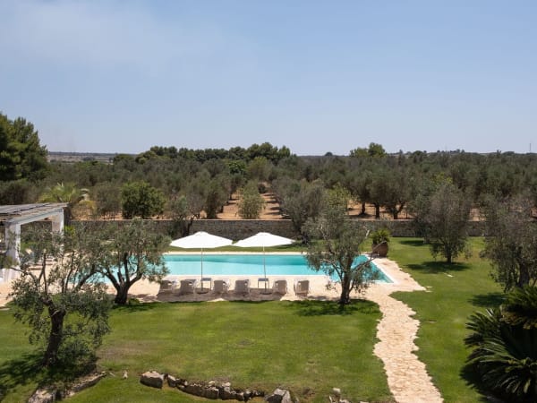 Masseria Cisterna Rossa's gorgeous pool and the surrounding olive orchards.