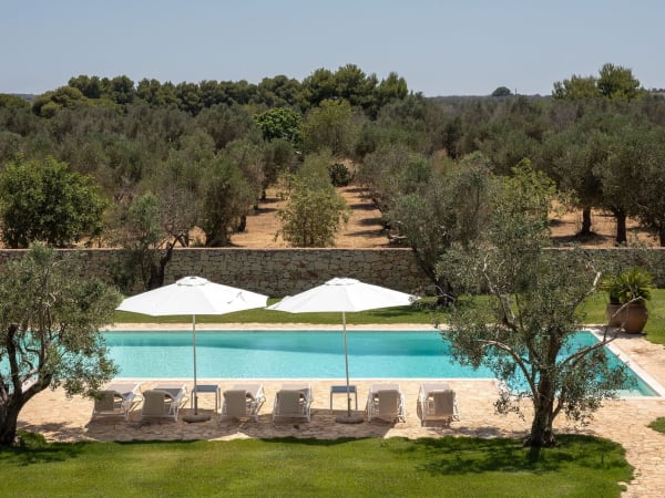 Masseria Cisterna Rossa's gorgeous pool and the surrounding olive orchards.