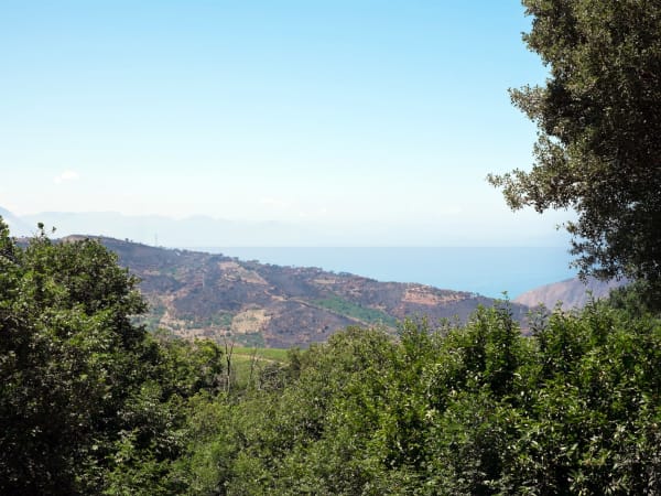 Superb views of the coast below.