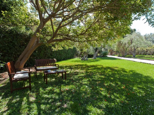 Estiva's wonderful lawn.