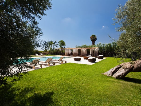 The large expanses of lawn, planted with olive trees surround the pool.