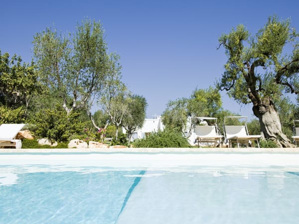 The refreshing waters of the pool.