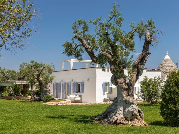 The grounds at Trullo del Sale are dotted with age-old olive trees.