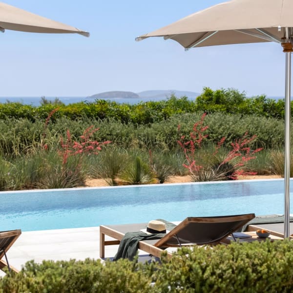 Restful views over an abundance of greenery and the sea.