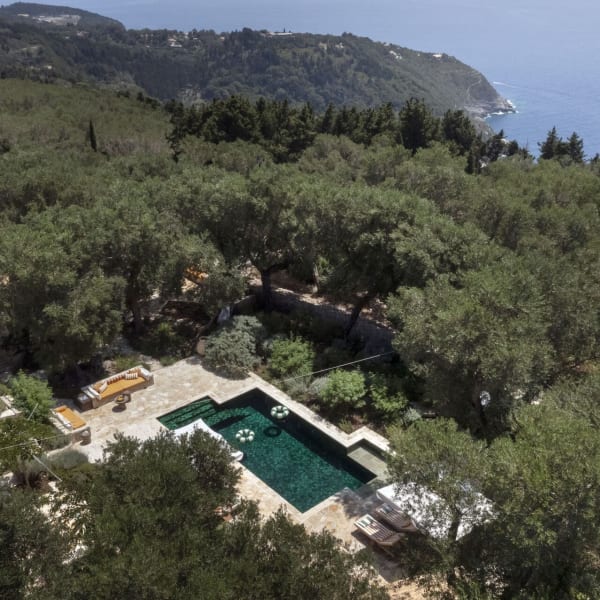 Aperghis is surrounded by acres of olive groves.