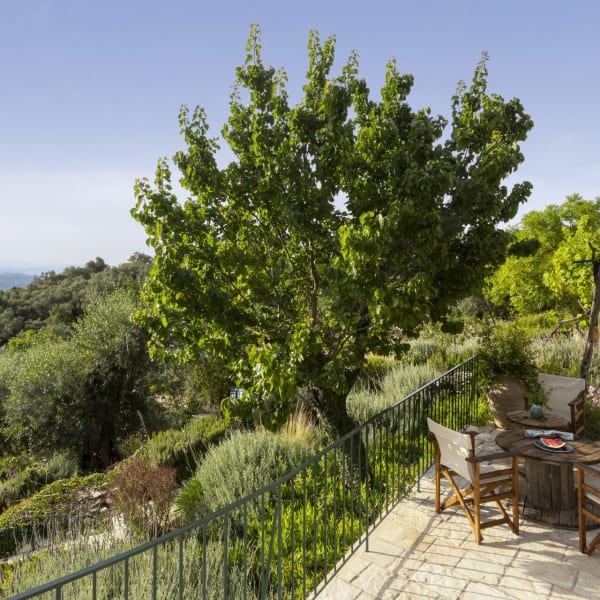 The main terrace with its shady vine-covered pergola.