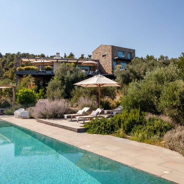 The super pool. At the far end is a large shady pergola.