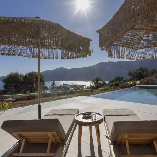 An idyllic scene at Limaro's guesthouse pool area.