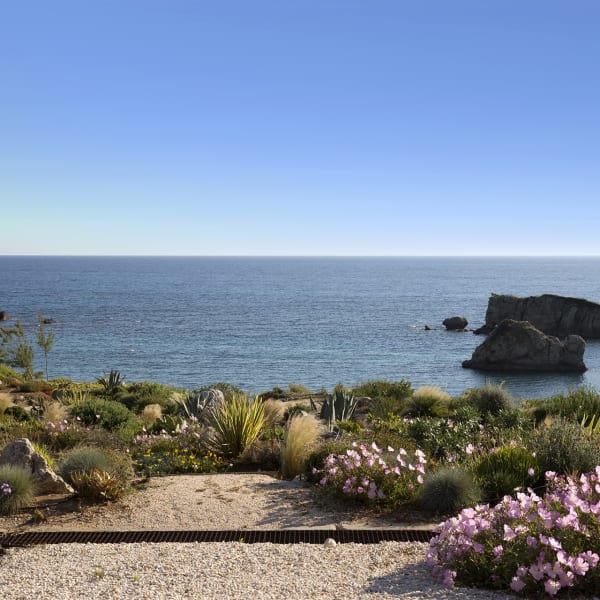 Follow the path through the fragrant gardens...