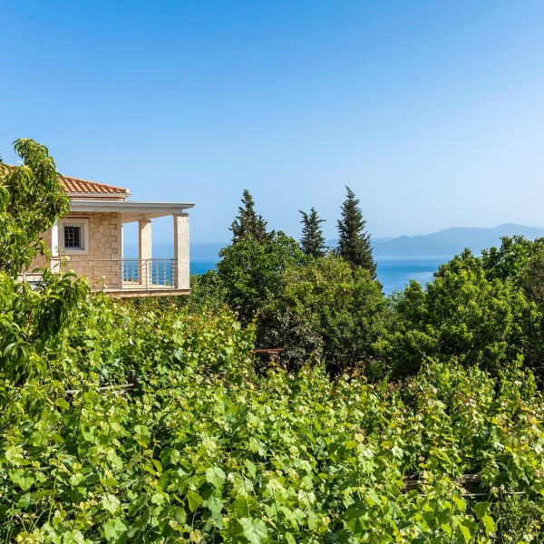 Part of the wrap-around terraces looking out to sea.