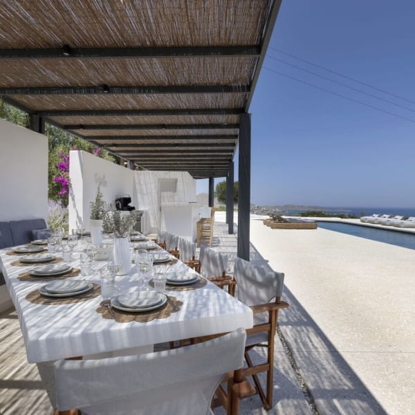 Flanking the pool is a large shaded area with dining table, built-in seating, a bar and a barbecue.