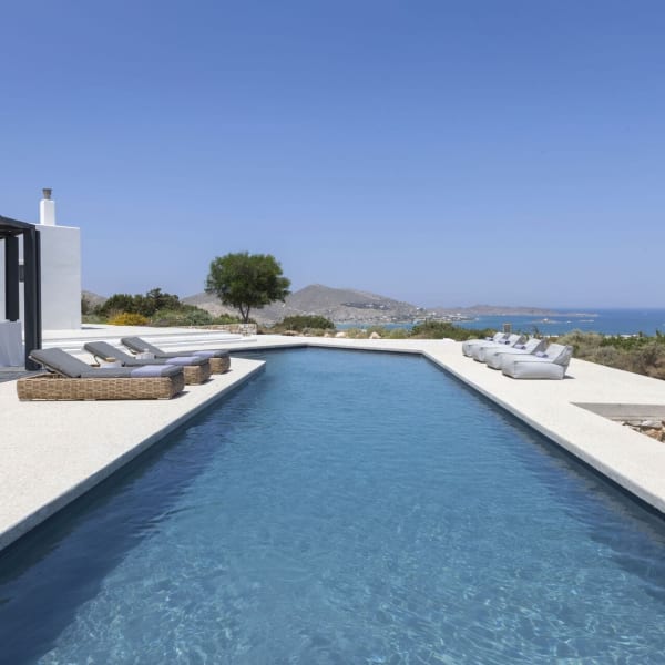 Ready for a swim?