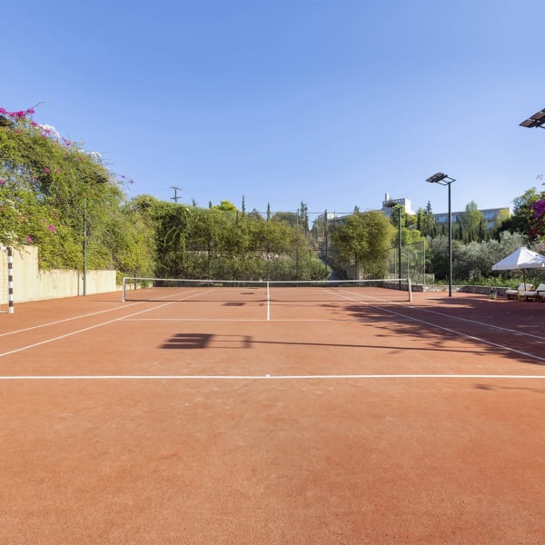 Anyone for tennis?