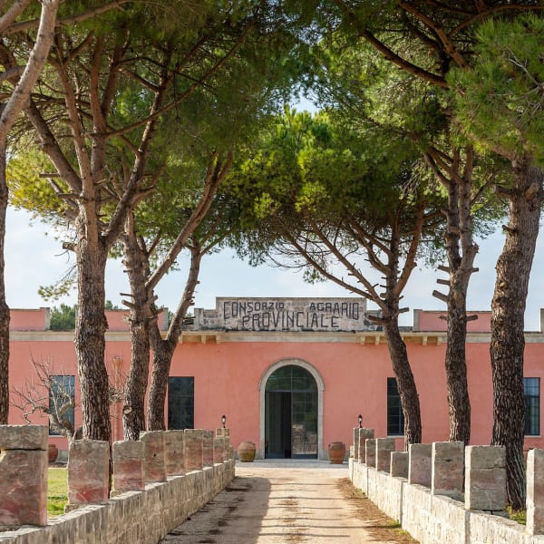 Arriving at Il Tabacchificio, whose original sign (Consorzio Agrario Provinciale) is still evident.