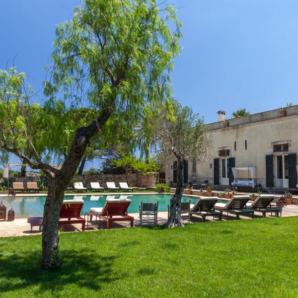 Large expanses of lawn surround the pool and the house.
