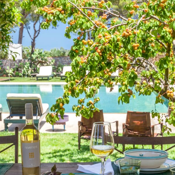 With views over the pool area.