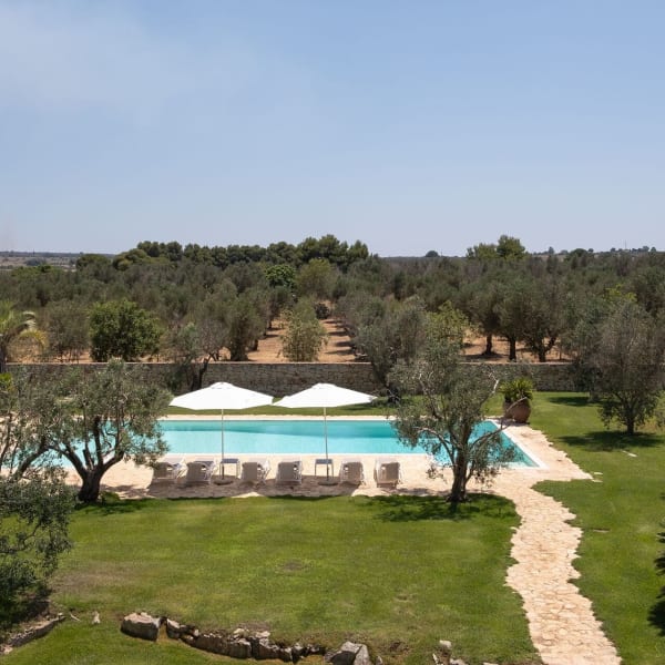 Masseria Cisterna Rossa's gorgeous pool and the surrounding olive orchards.