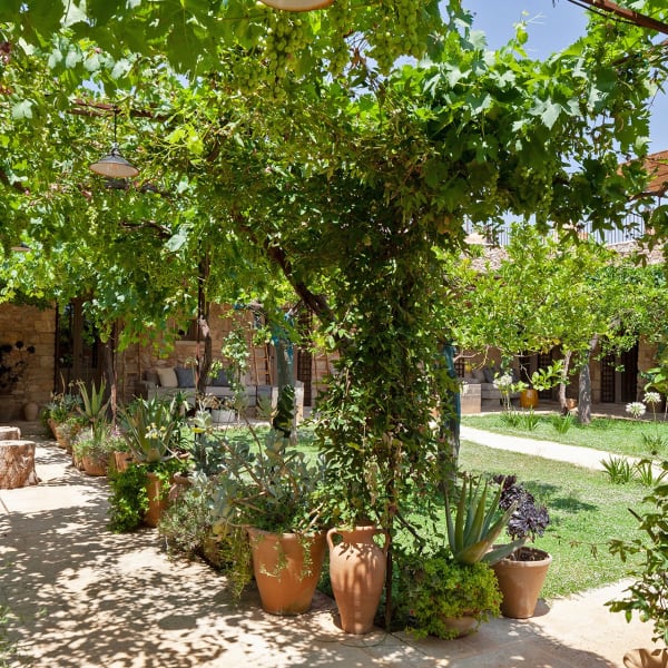 The verdant, beautifully tended main courtyard.