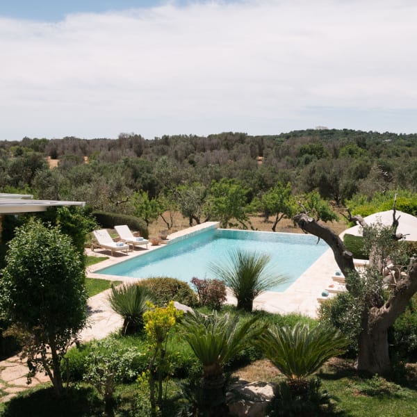 The gorgeous pool.