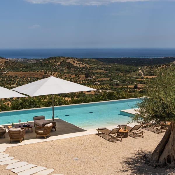 Green on blue with venerable olive trees set against the sea and sky.