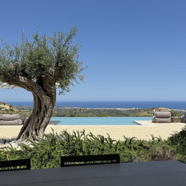 Green on blue with venerable olive trees set against the sea and sky.