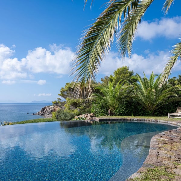 A palm-fringed shot of the pool reflecting the sky.
