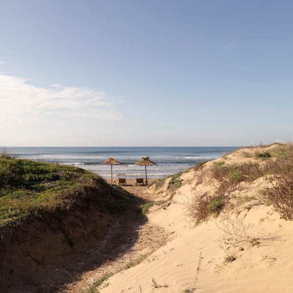 The idyllic beach at the bottom of the garden.