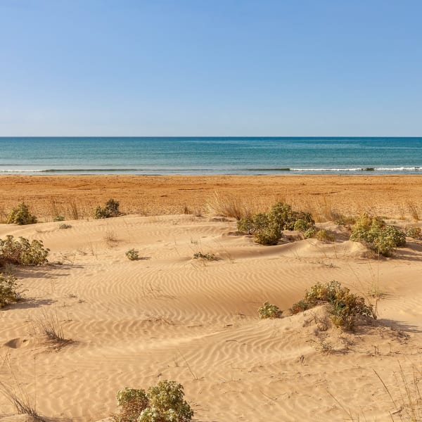 The nearby sandy beach.