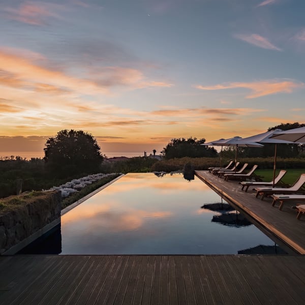 Time for an evening swim.