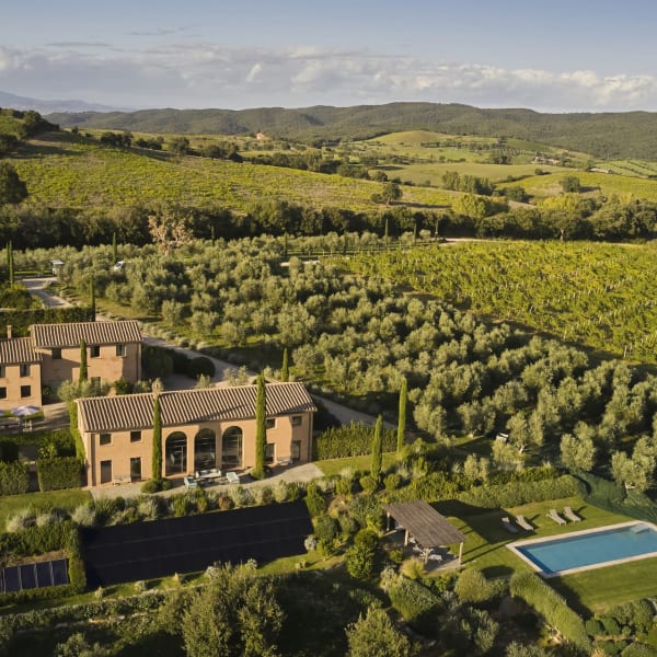 La Verbena rising amongst its olive groves.
