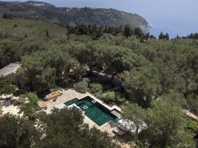 Aperghis is surrounded by acres of olive groves.