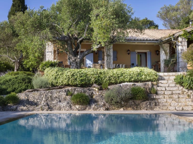 Ersi's delightful pool and gardens.