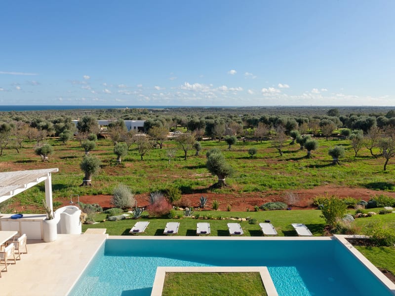 Fabulous views out across the olive groves to the Adriatic from Casa Guaceto's roof terrace.