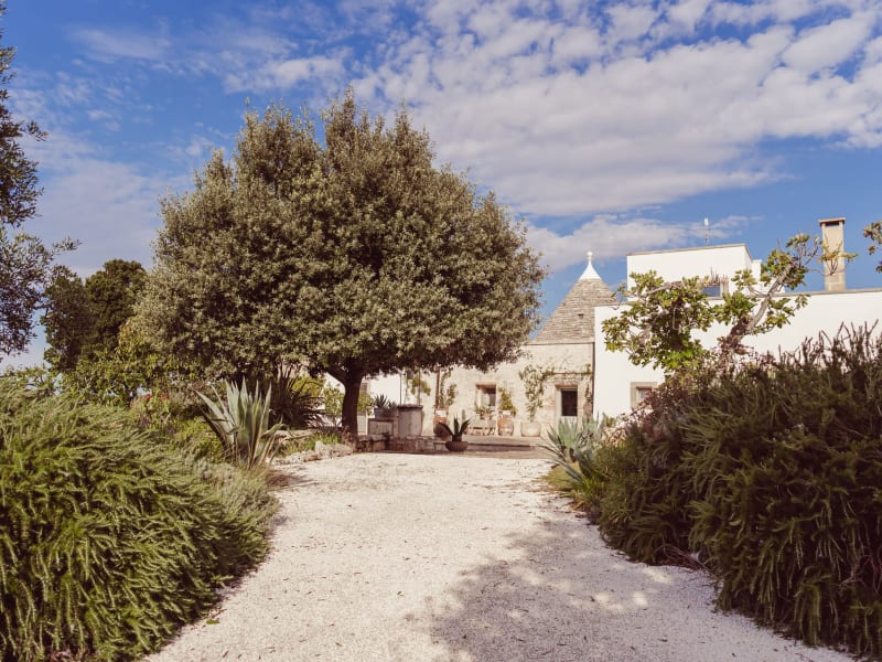 Arrival at La Rona. Welcome!