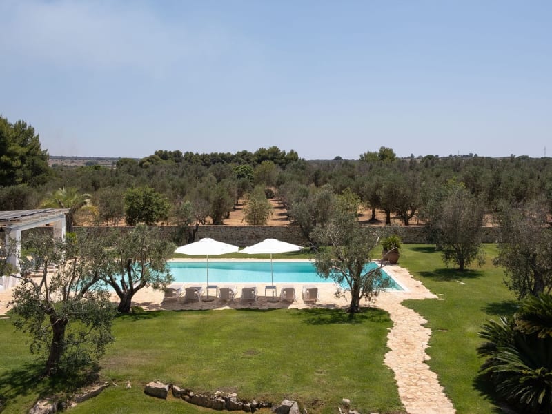 Masseria Cisterna Rossa's gorgeous pool and the surrounding olive orchards.