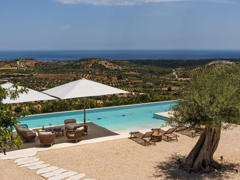 Green on blue with venerable olive trees set against the sea and sky.