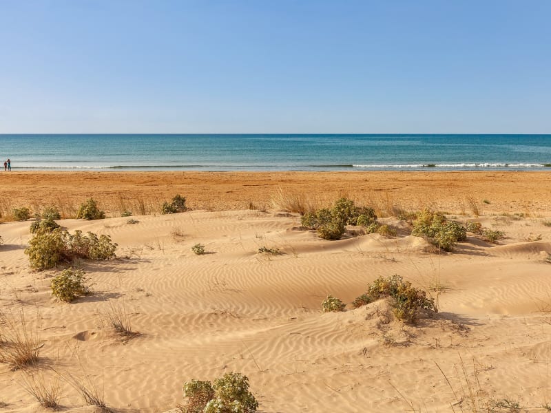 The nearby sandy beach.
