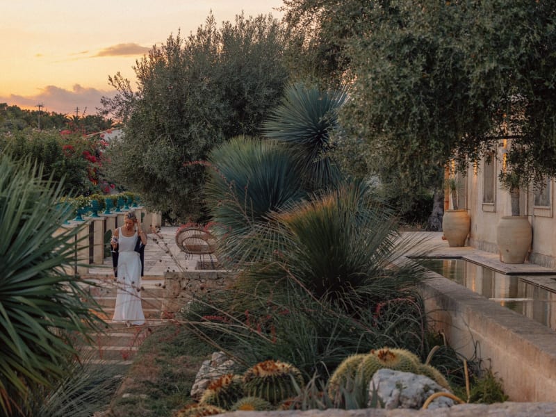 A magical atmosphere at sunset.