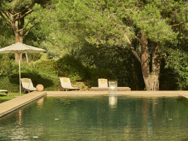 Ready for a dip?