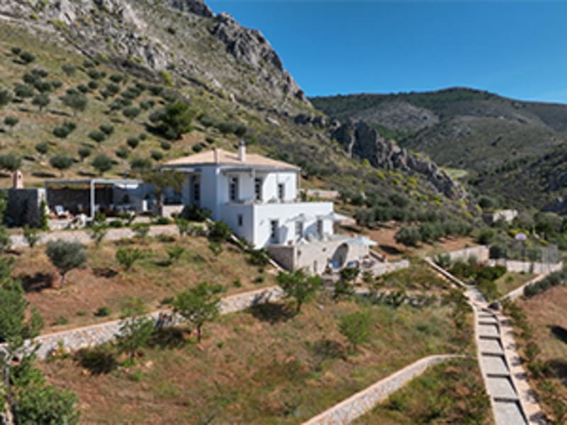 Aerial views of Petalida