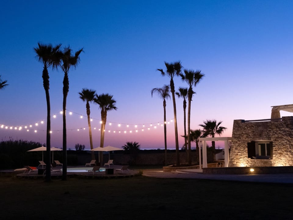 A magical atmosphere as dusk falls over the the palms.