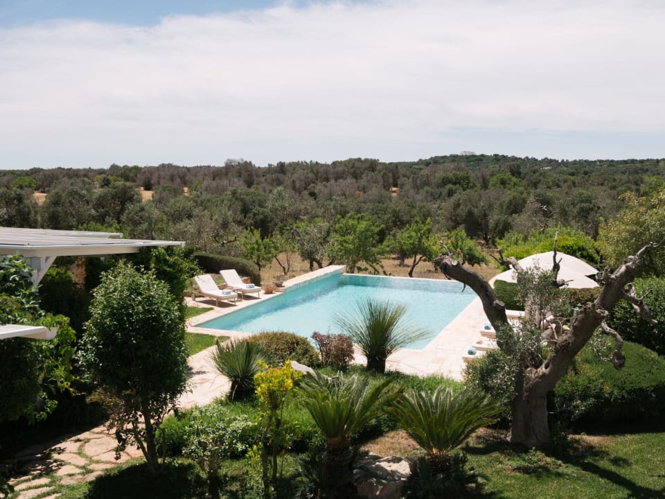 The gorgeous pool.