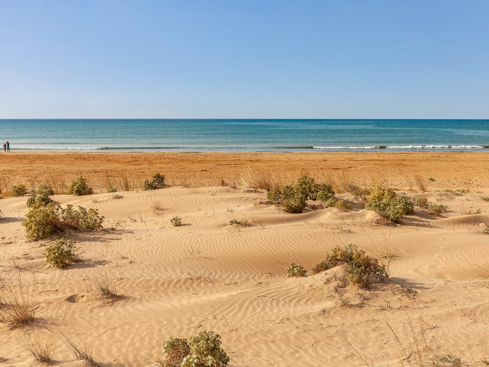 The nearby sandy beach.
