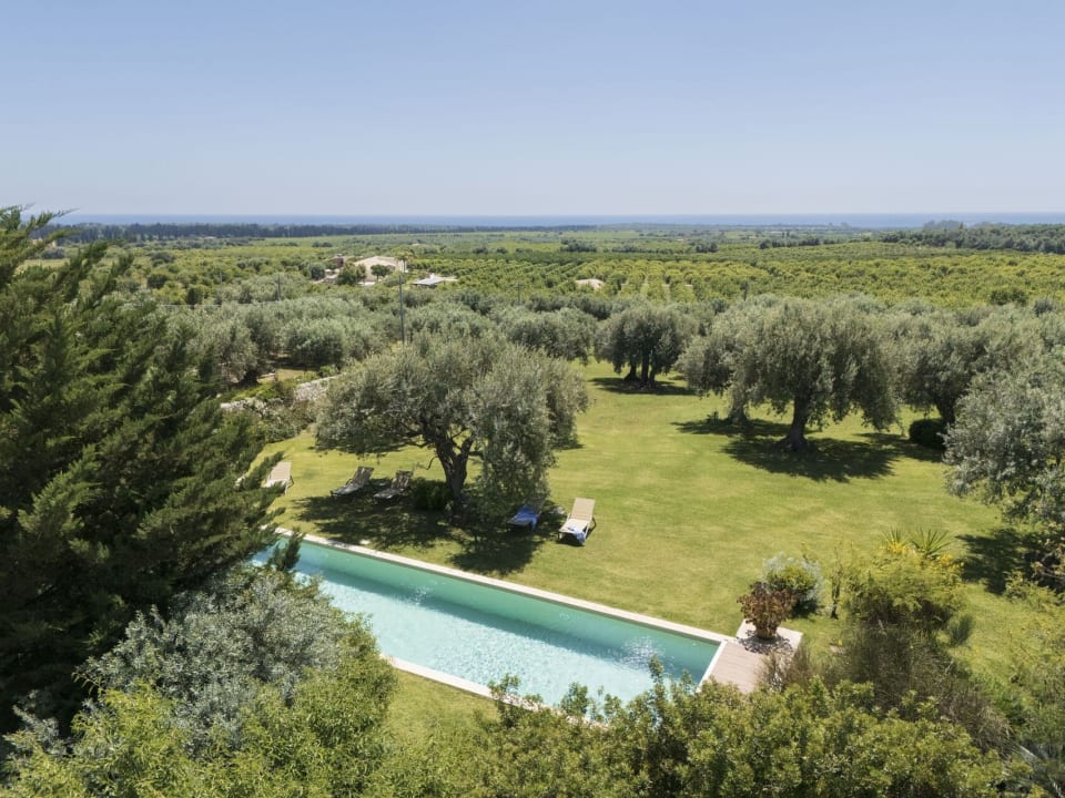 The beautiful pool immersed in an oasis of green.