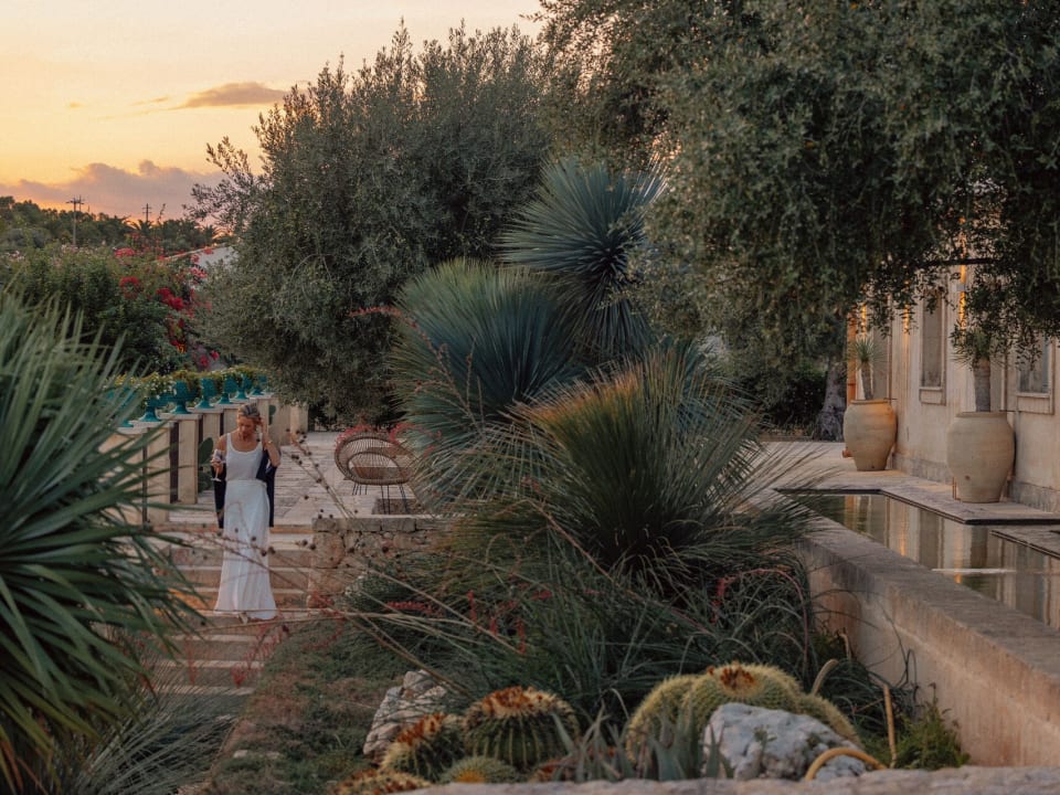 A magical atmosphere at sunset.
