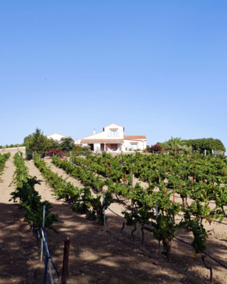 Villas near Vineyards