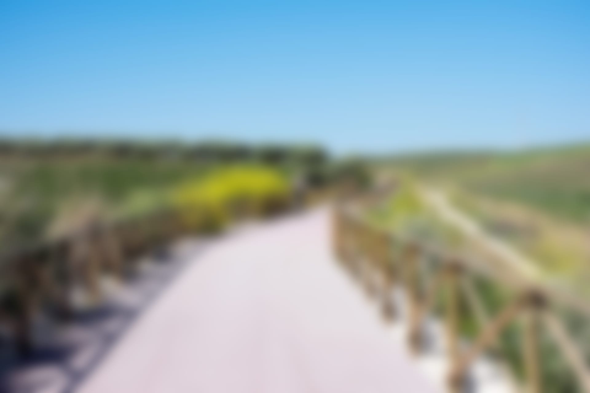 Menfi has some great cycle paths so you can enjoy the landscapes without worrying about traffic.