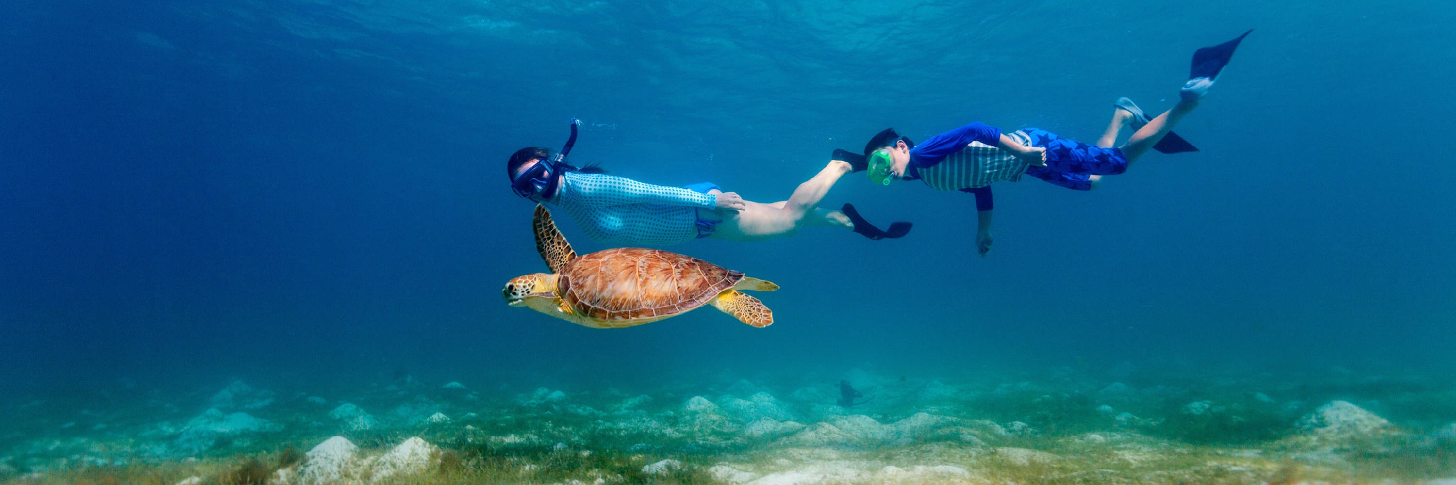 Kerama Islands Okinawa Snorkeling Tour with Sea Turtles Full Day