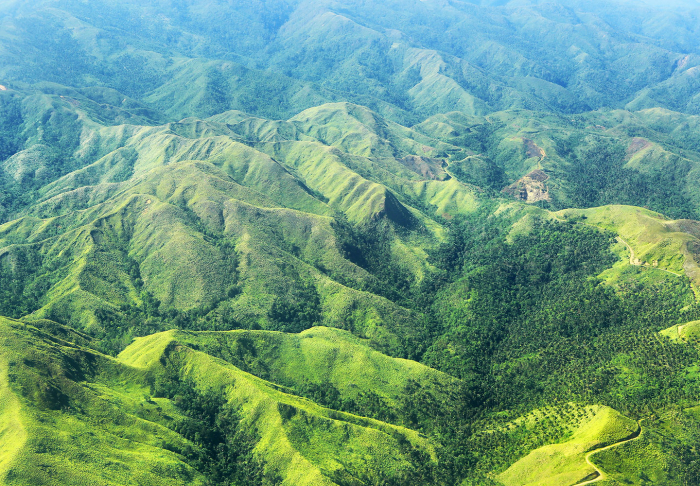 Discover Bohol Chocolate Hills - Cebu and Bohol