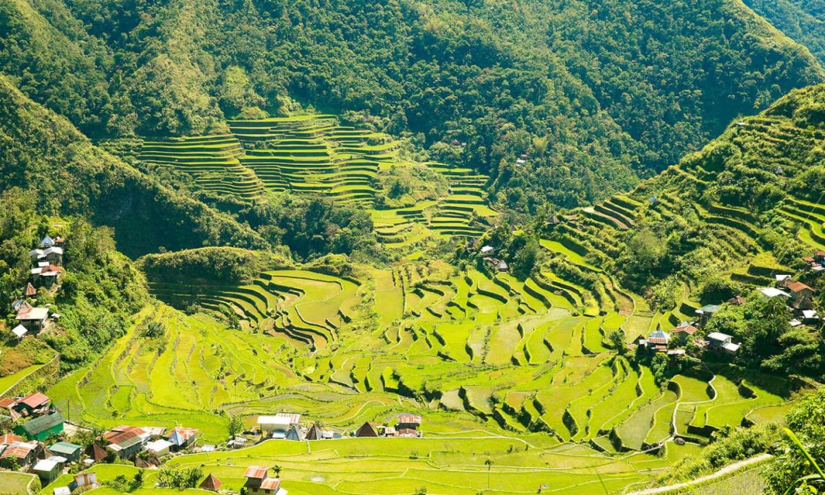 Discover Banaue Rice Terraces Manila